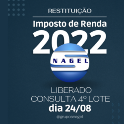 Imposto De Renda 2022 - Snagel Contábil